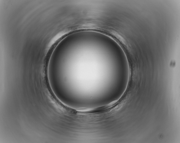 X0000094181458200710261120
