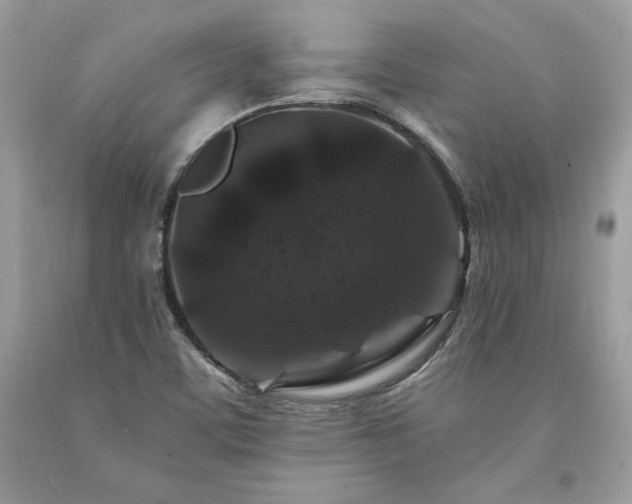 X0000094181459200710261120