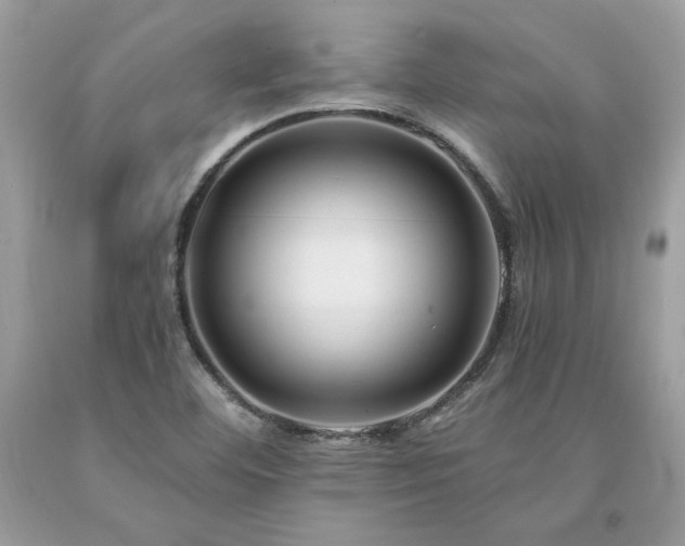 X0000094181460200710261120
