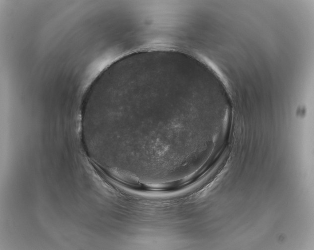X0000094181461200710261120