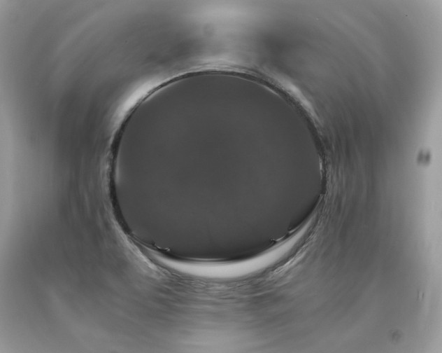X0000094181463200710261120