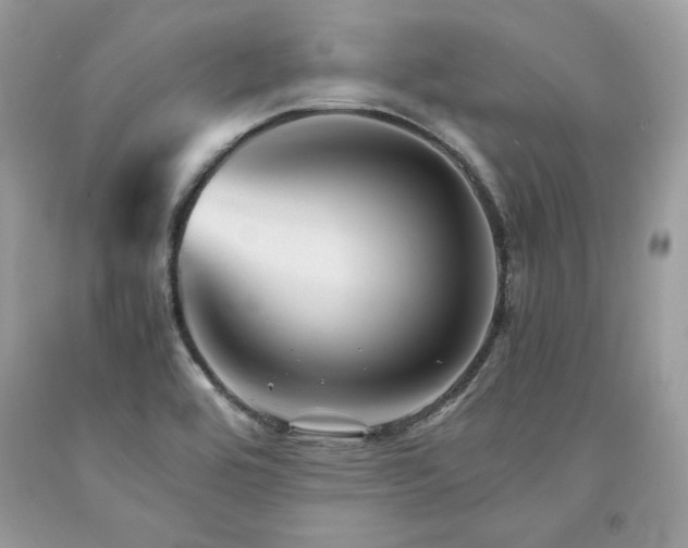 X0000094181464200710261120