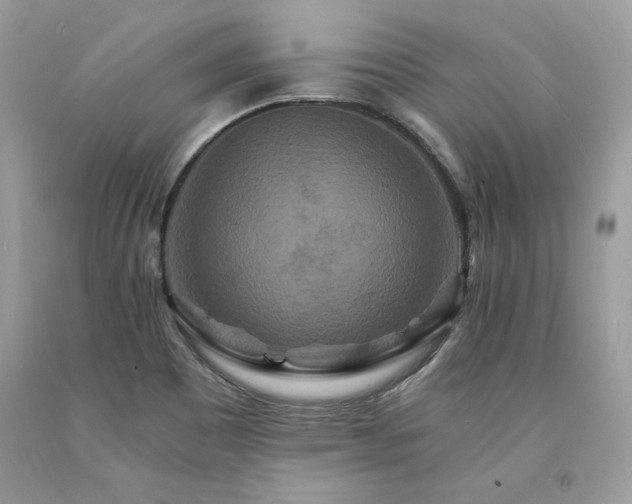 X0000094181465200710261120