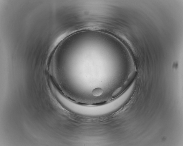 X0000094181467200710261120