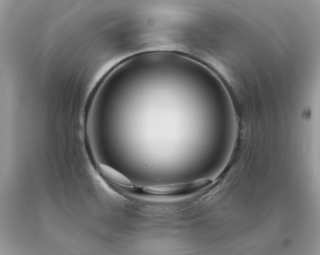 X0000094181468200710261120