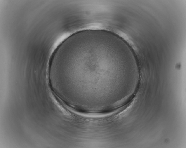 X0000094181469200710261120