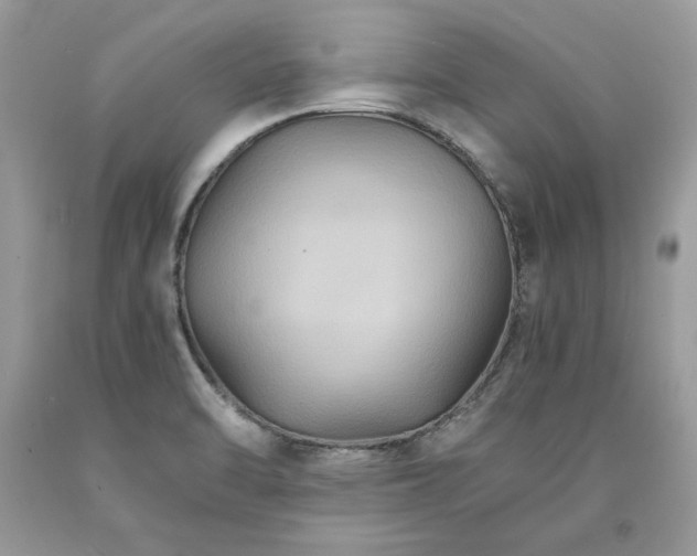 X0000094181470200710261120