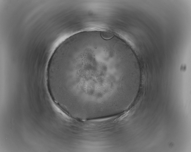 X0000094181471200710261120