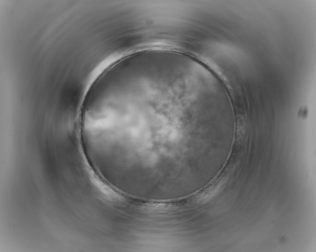 X0000094181474200710261120