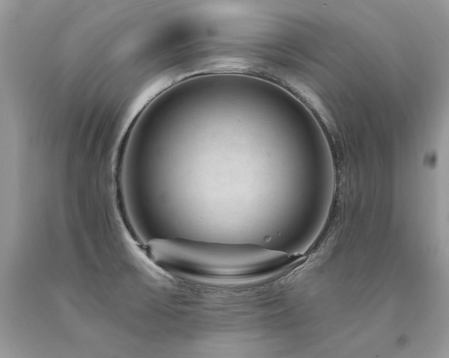 X0000094181475200710261120