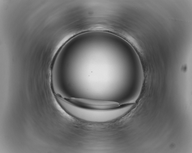 X0000094181476200710261120