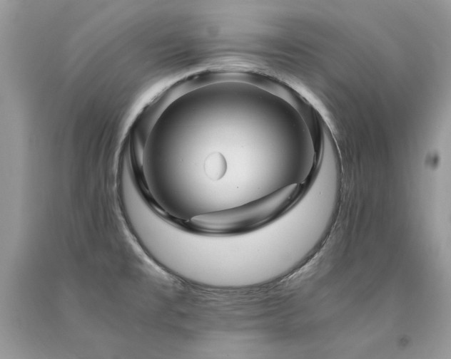 X0000094181477200710261120