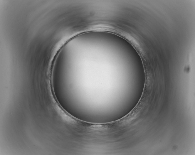 X0000094181478200710261120