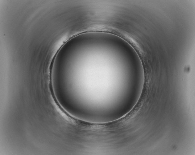 X0000094181479200710261120
