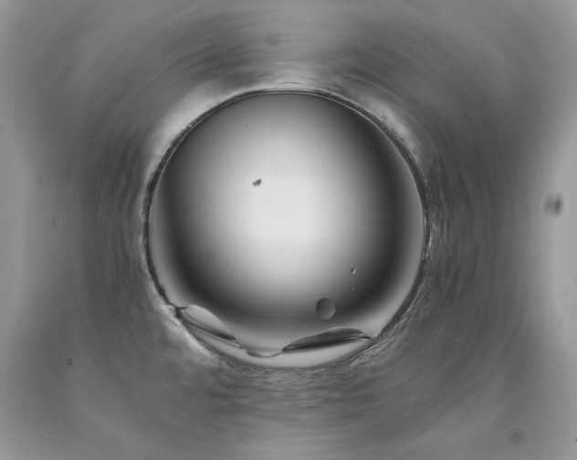 X0000094181480200710261120