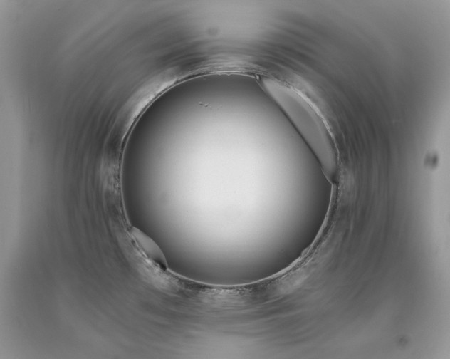 X0000094181481200710261120