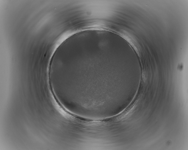 X0000094181482200710261120