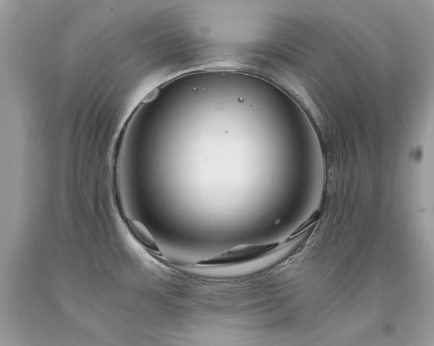 X0000094181483200710261120