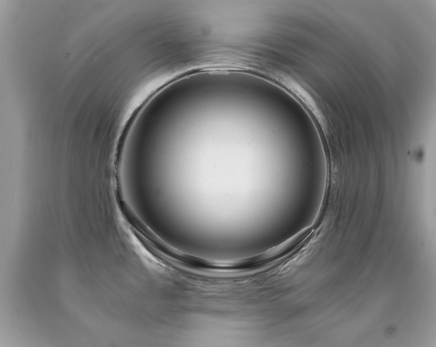 X0000094181485200710261120