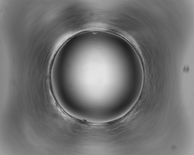 X0000094181488200710261120