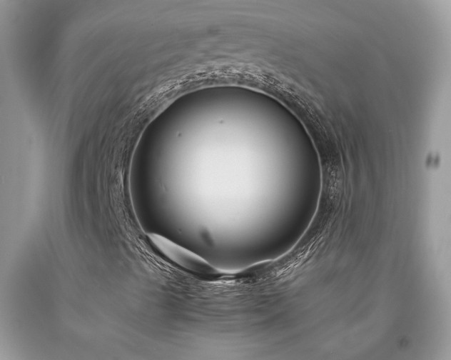 X0000094181489200710261119