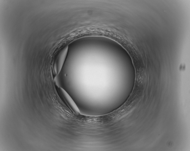 X0000094181490200710261119