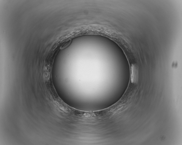 X0000094181491200710261119
