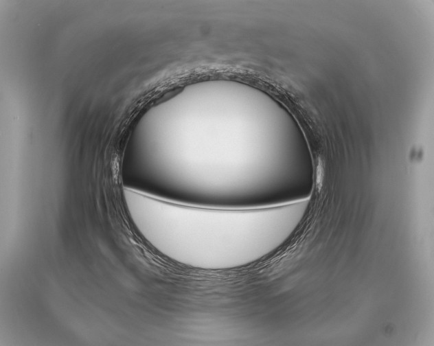 X0000094181492200710261119