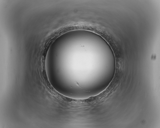 X0000094181493200710261119