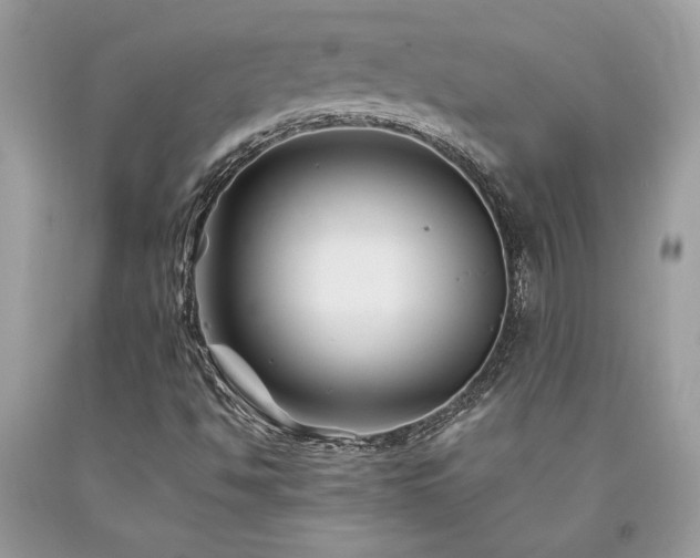 X0000094181494200710261119