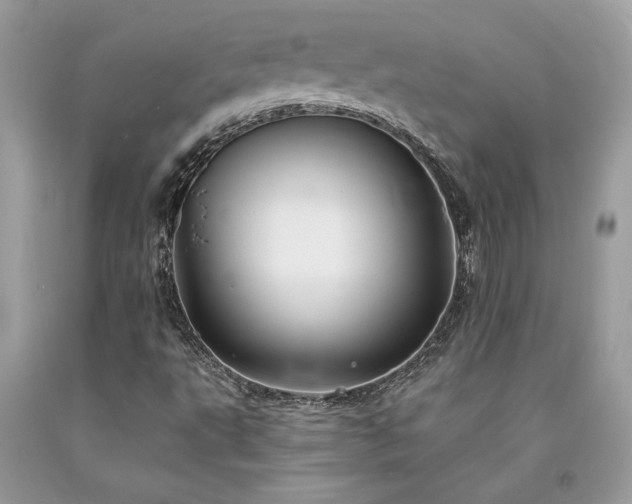 X0000094181495200710261119