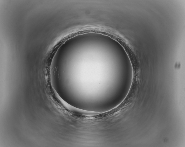 X0000094181496200710261120