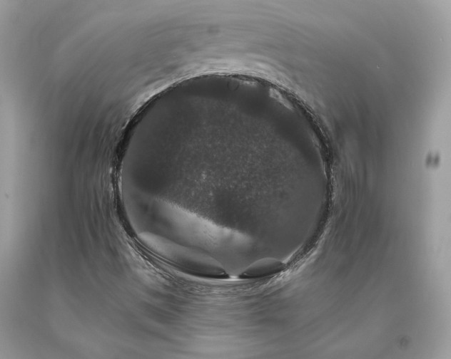 X0000094181497200710261120
