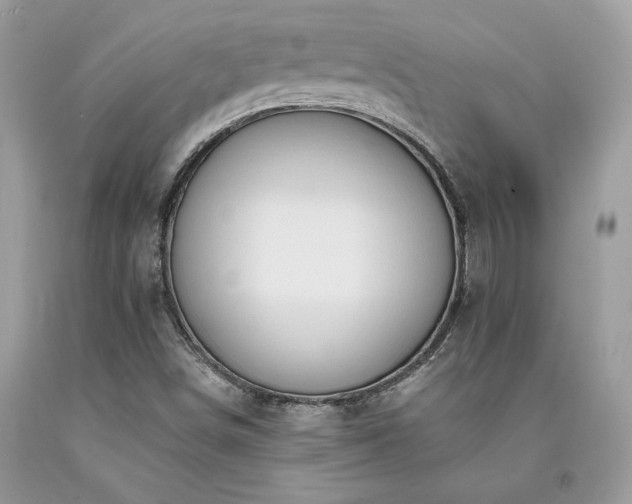 X0000094181498200710261120