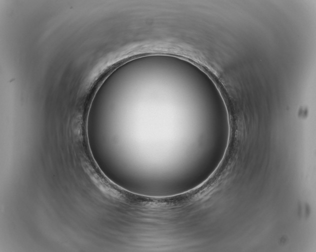 X0000094181499200710261120