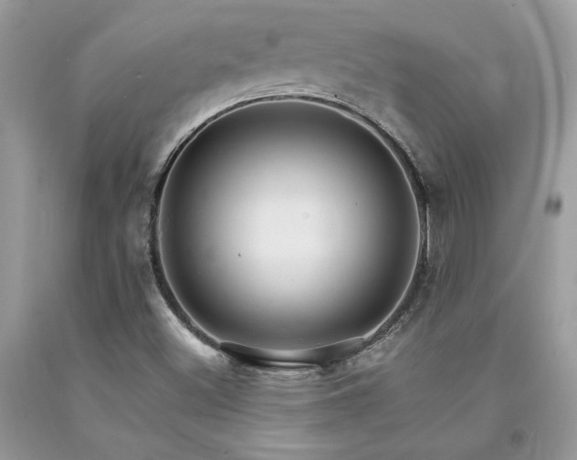 X0000094181500200710261120