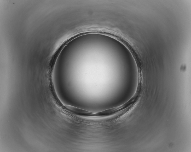 X0000094181501200710261120
