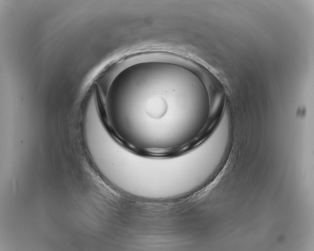 X0000094181502200710261120