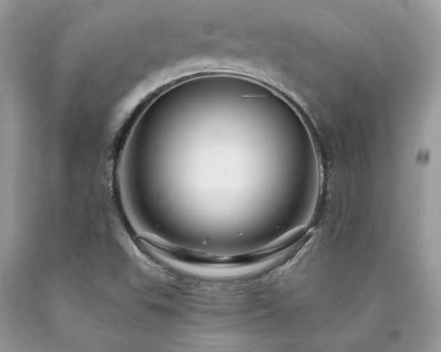 X0000094181503200710261120