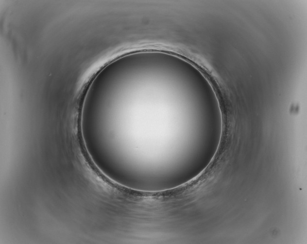 X0000094181504200710261120