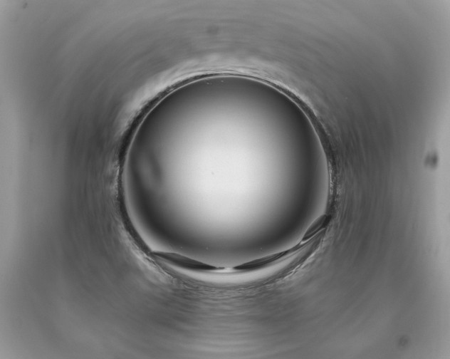 X0000094181507200710261120