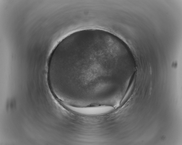 X0000094181508200710261120