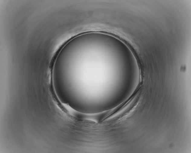 X0000094181509200710261120