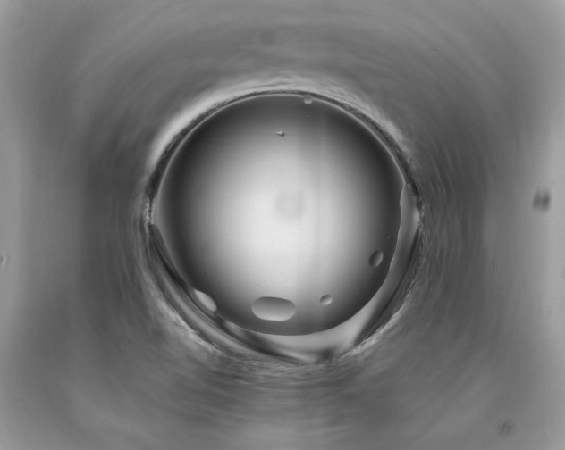 X0000094181510200710261120