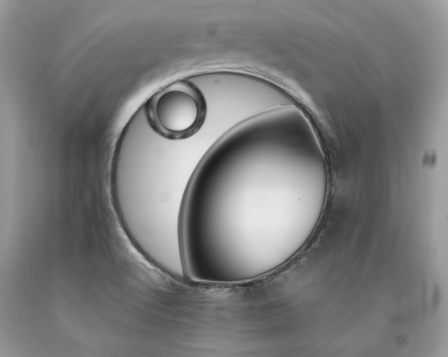 X0000094181512200710261120