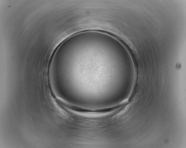 X0000094181513200710261120