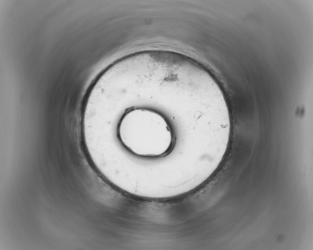 X0000094181514200710261120