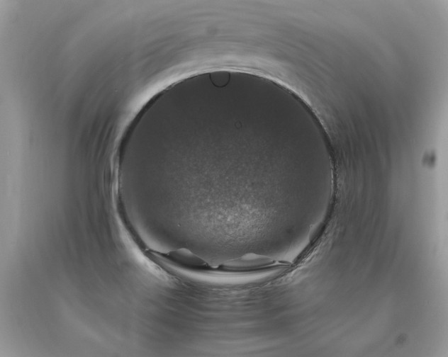 X0000094181515200710261120