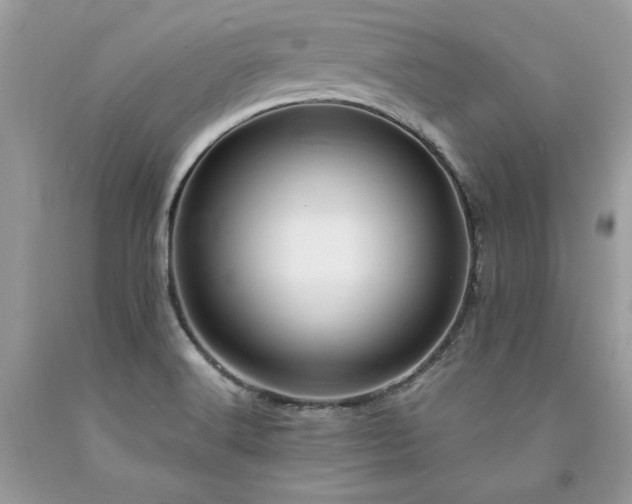 X0000094181516200710261120
