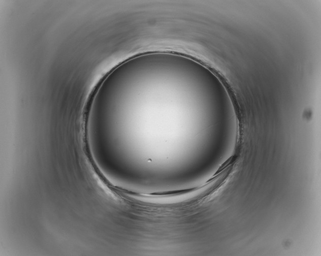 X0000094181517200710261120